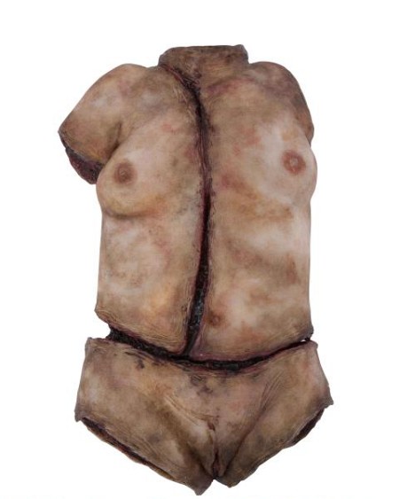 Synthetic Torso